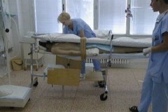 foto: archiv profesora Wendscheho