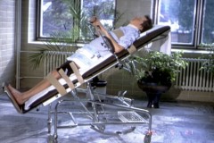 foto: archiv profesora Wendscheho